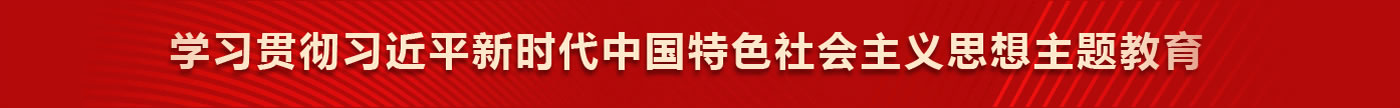 学习贯彻习近平新时代中国特色社会主义思想主题教育